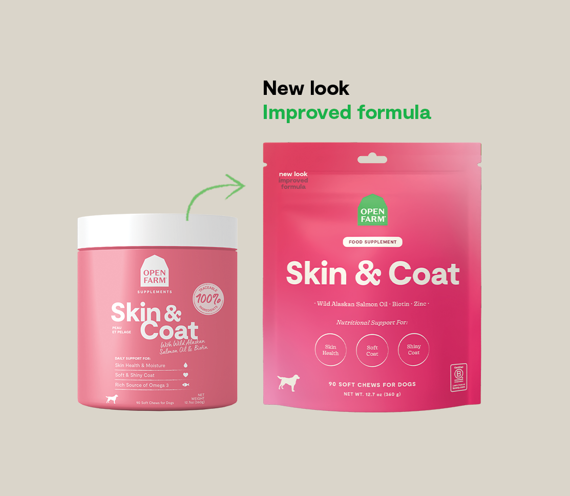 Skin & Coat Supplement Chews for Dogs