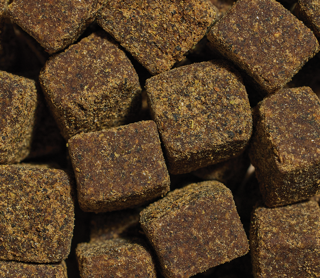 Hip & Joint Supplement Chews for Dogs