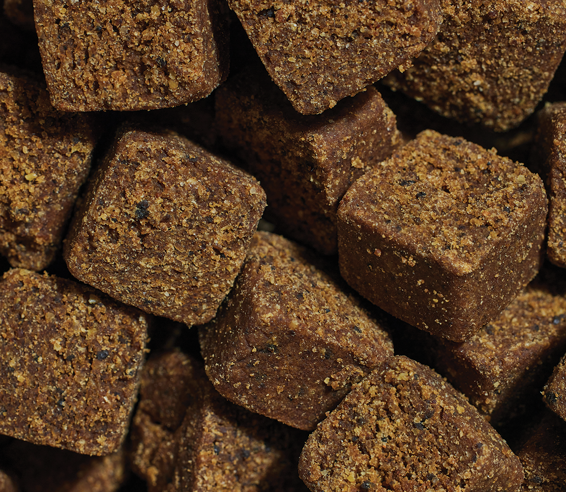 Probiotic Supplement Chews for Dogs