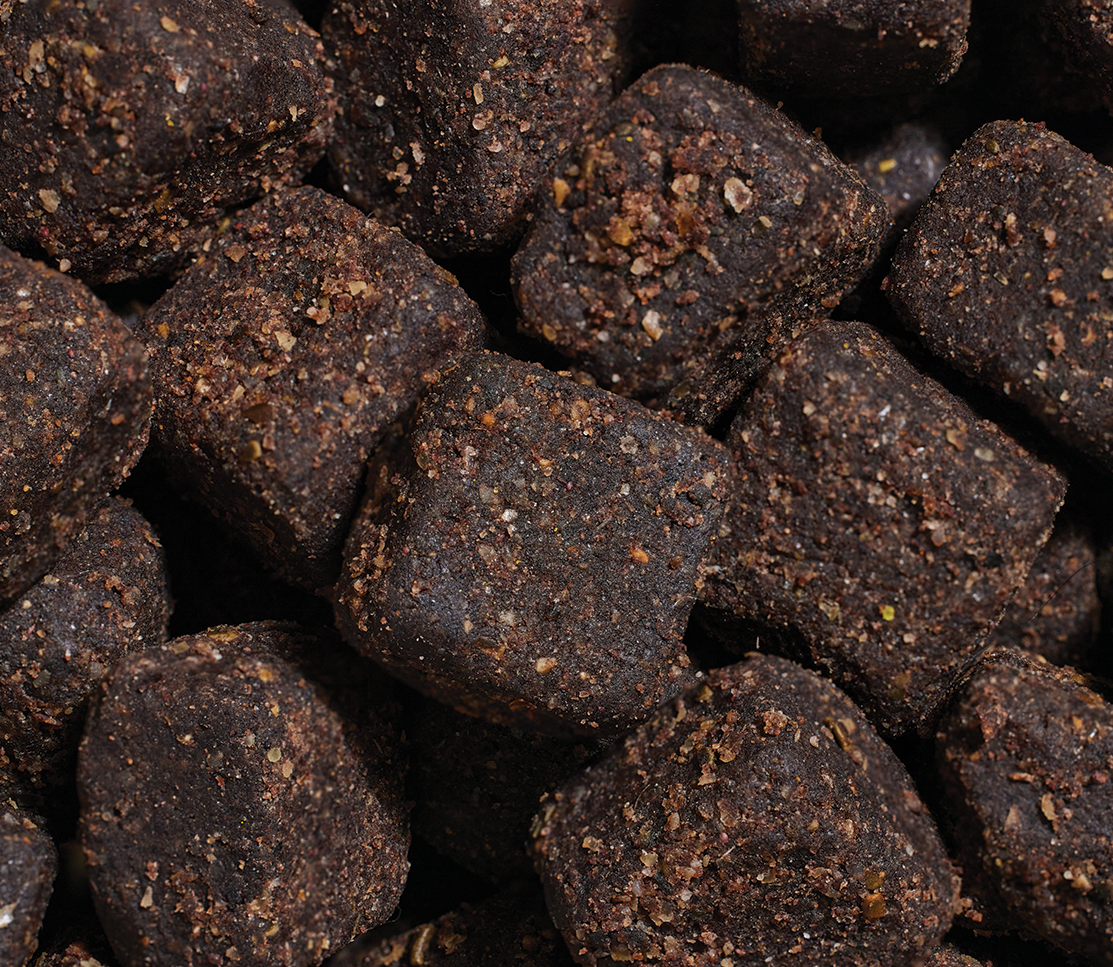 Skin & Coat Supplement Chews for Dogs