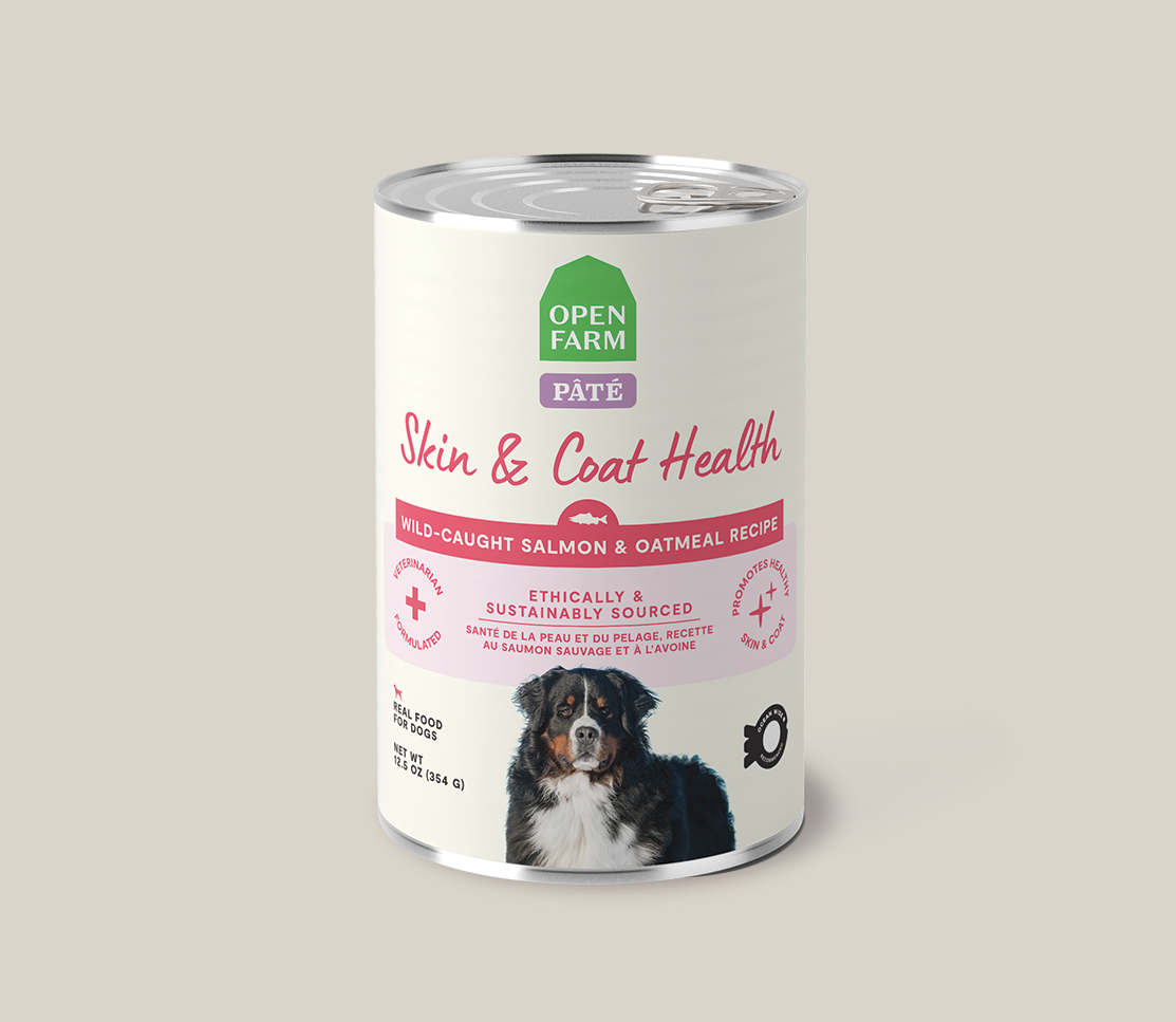 Wild-Caught Pollock & Salmon Skin & Coat Health Pâté for Dogs