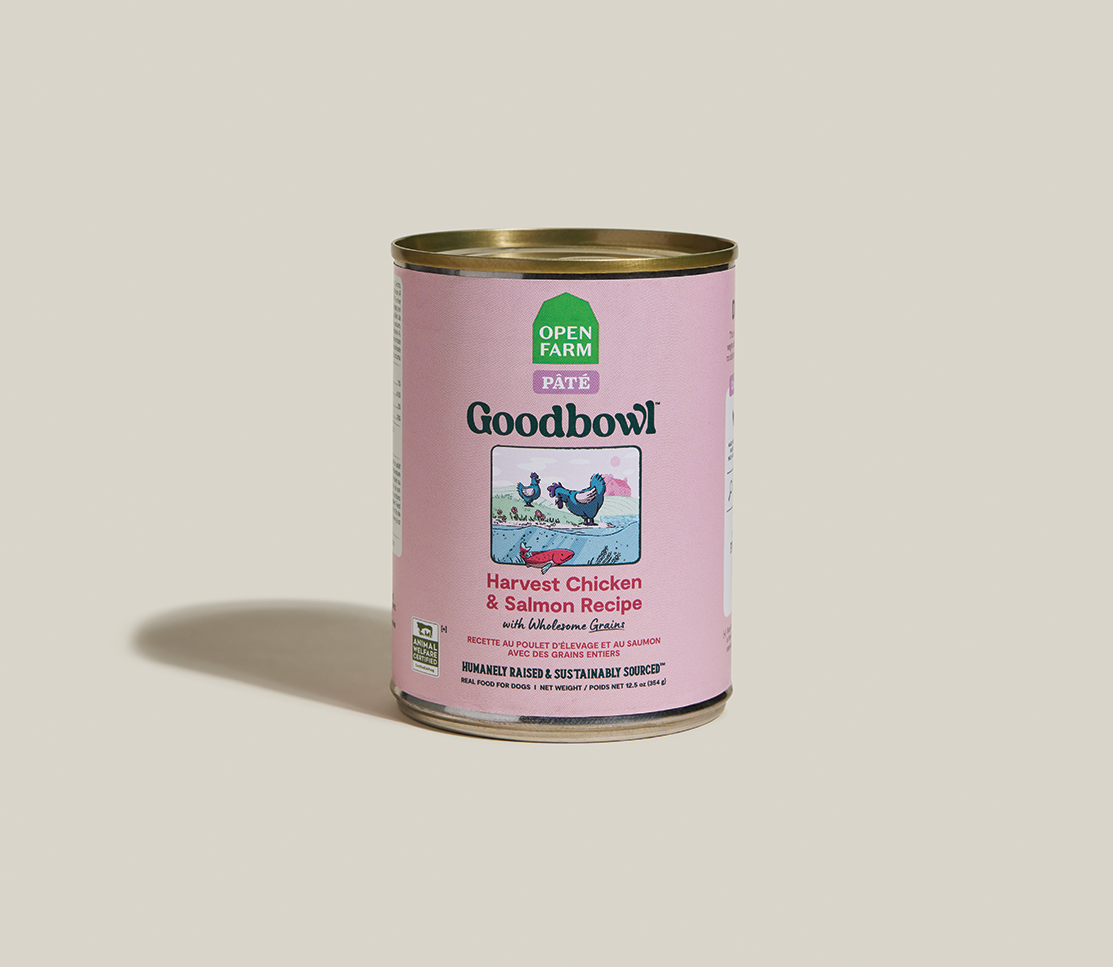Goodbowl™ Harvest Chicken & Salmon Pâté for Dogs