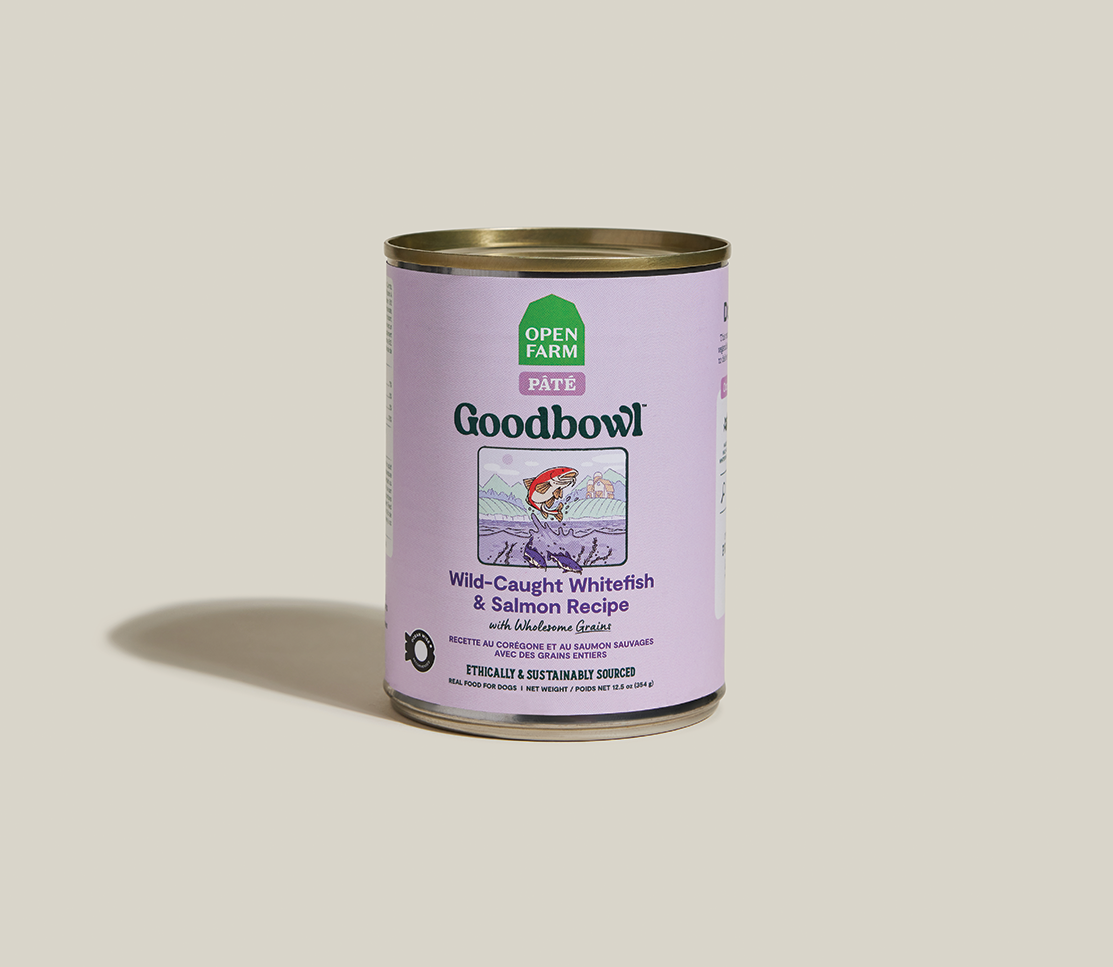 Goodbowl™ Wild-Caught Whitefish & Salmon Pâté for Dogs