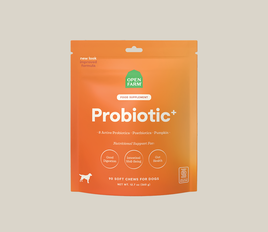 Probiotic Supplement Chews for Dogs