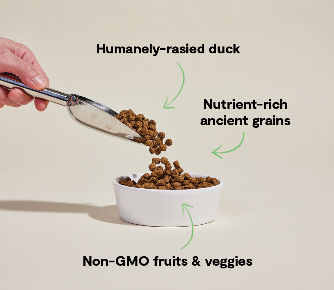 Farmstead Duck Ancient Grains Dog Kibble