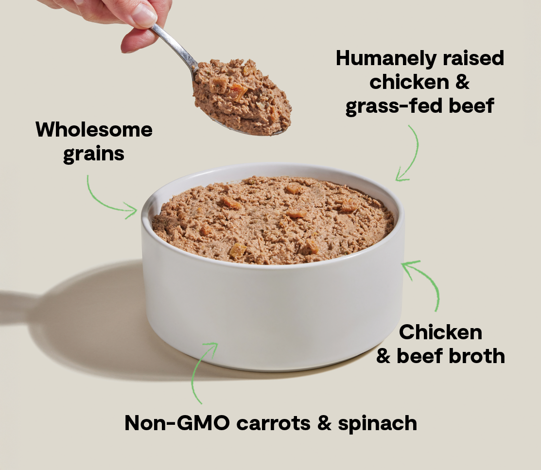 Goodbowl™ Harvest Chicken & Grass-Fed Beef Pâté for Dogs