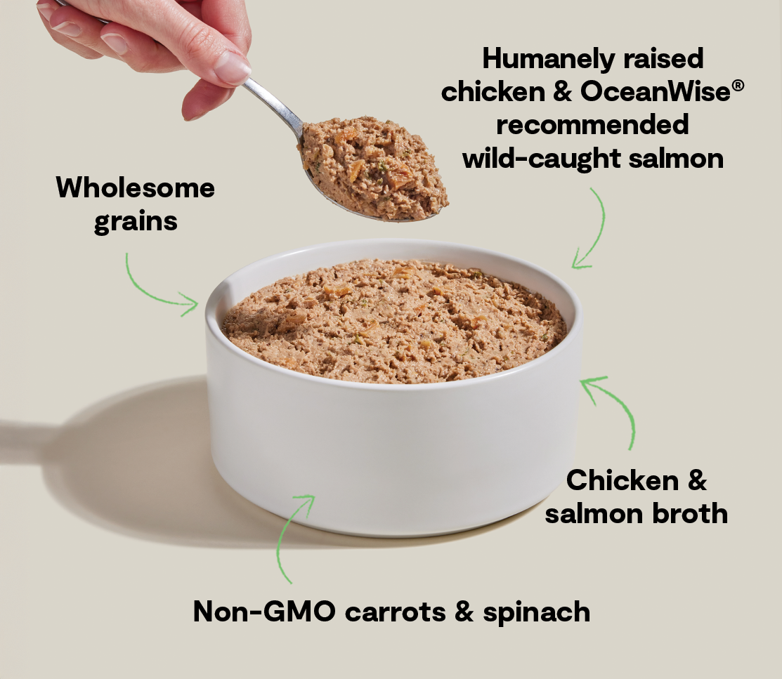 Goodbowl™ Harvest Chicken & Salmon Pâté for Dogs