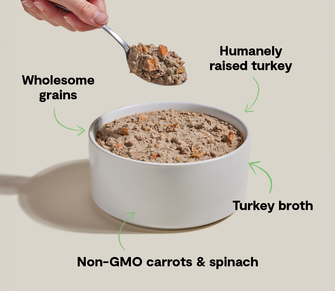 Goodbowl™ Homestead Turkey Pâté for Dogs