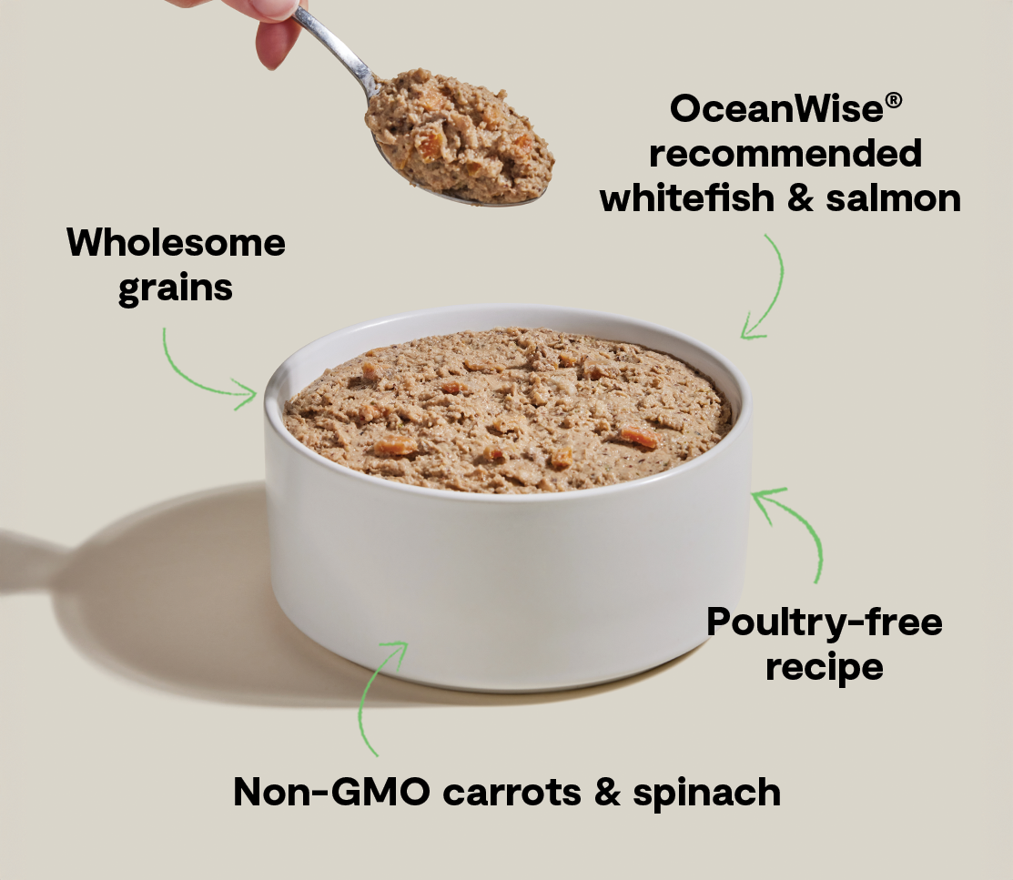 Goodbowl™ Wild-Caught Whitefish & Salmon Pâté for Dogs