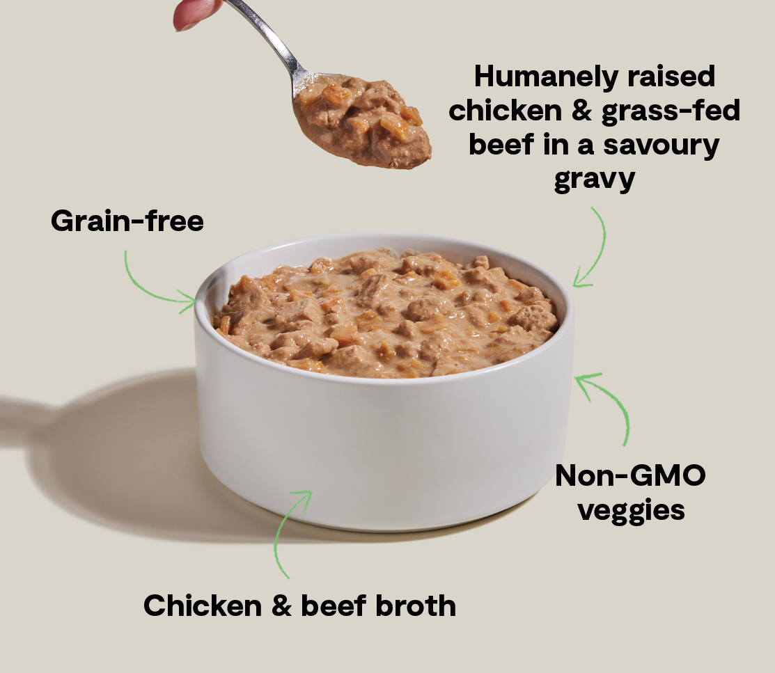 Chicken & Grass-Fed Beef Hearty Stew Wet Dog Food