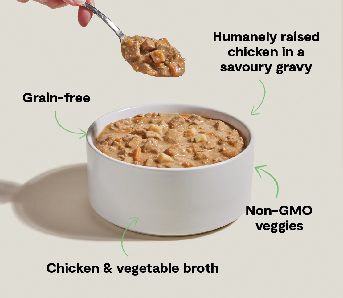 Harvest Chicken Hearty Stew Wet Dog Food