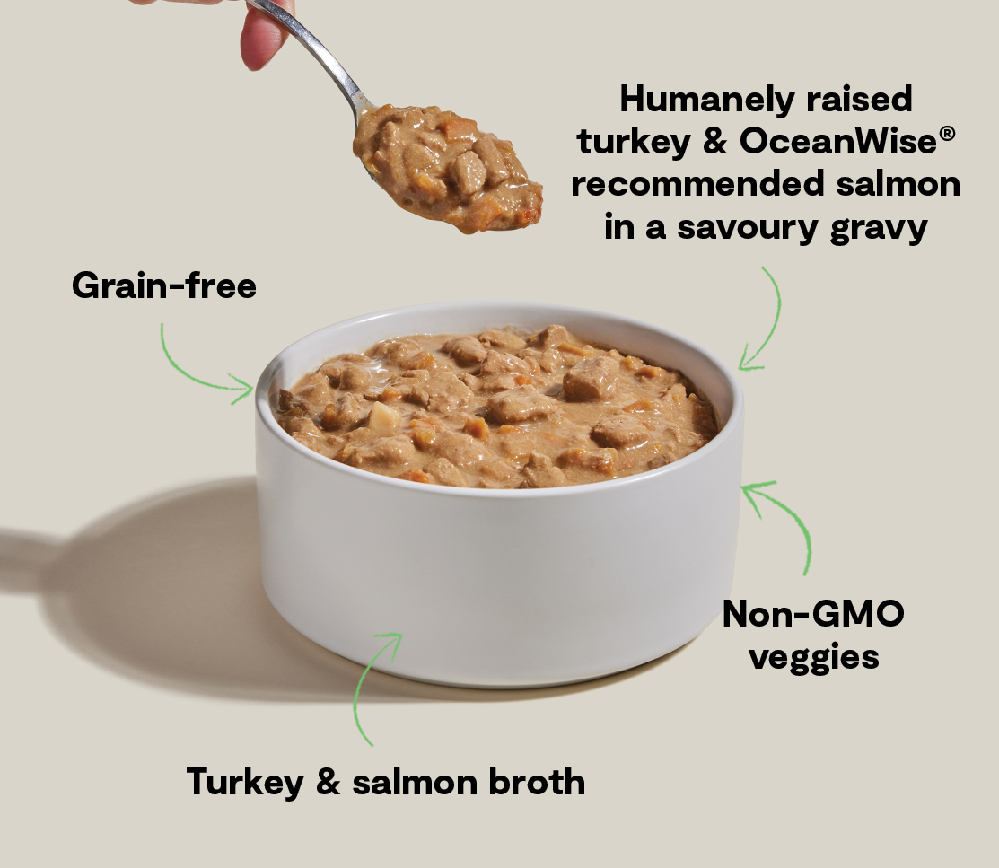 Turkey & Salmon Hearty Stew Wet Dog Food