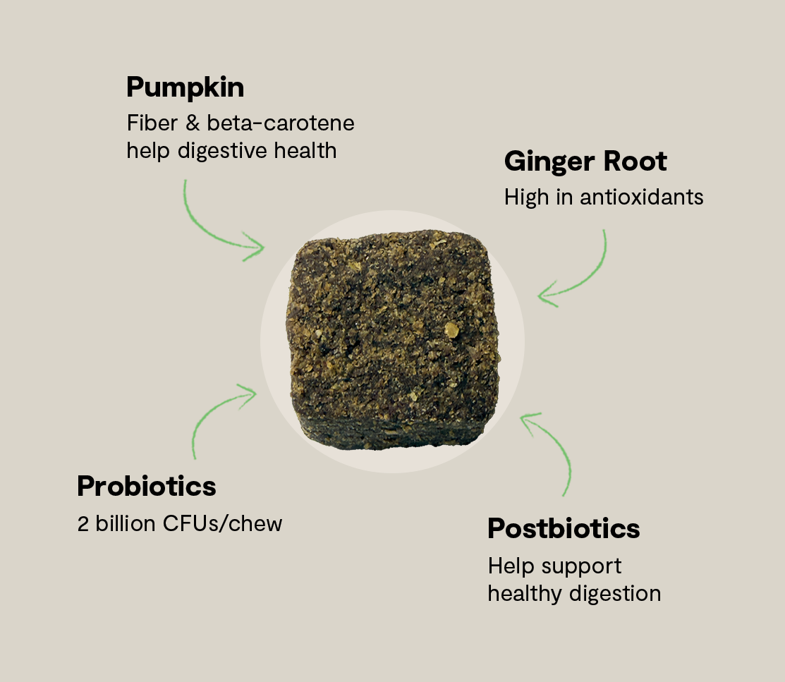 Probiotic Supplement Chews for Dogs