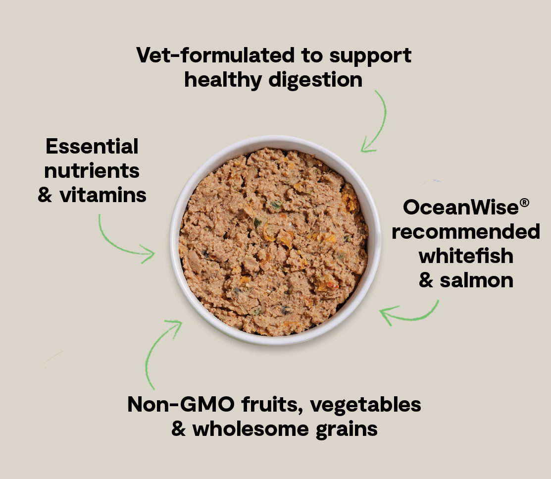 Wild-Caught Whitefish & Pollock Digestive Health Pâté for Dogs