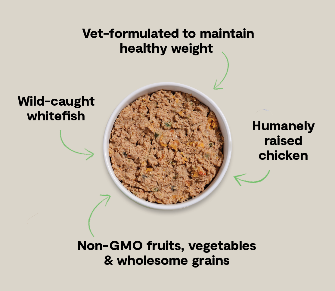 Chicken & Pollock Healthy Weight Pâté for Dogs