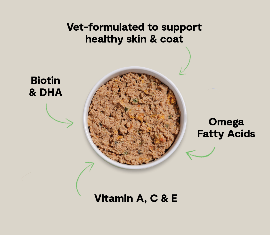 Wild-Caught Pollock & Salmon Skin & Coat Health Pâté for Dogs