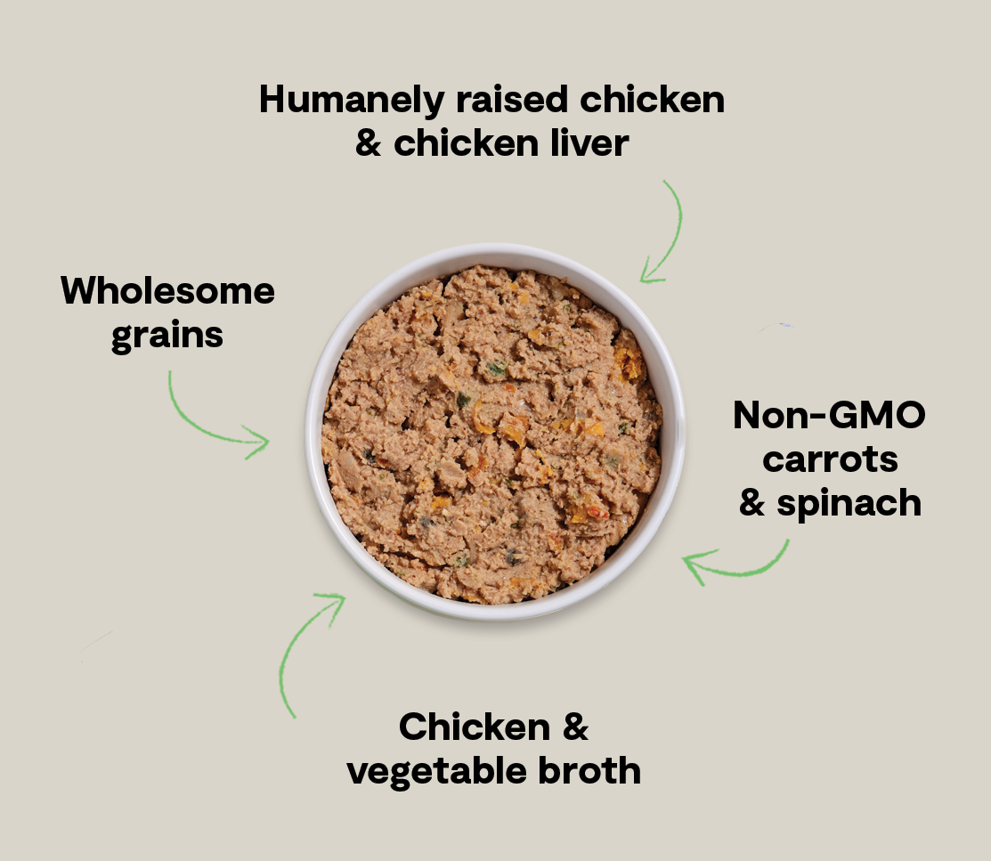 Goodbowl™ Harvest Chicken Pâté for Dogs