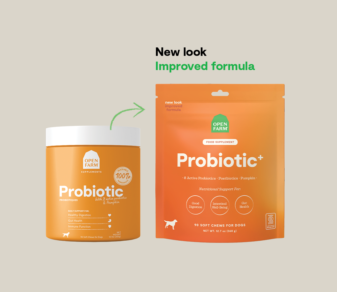 Probiotic Supplement Chews for Dogs