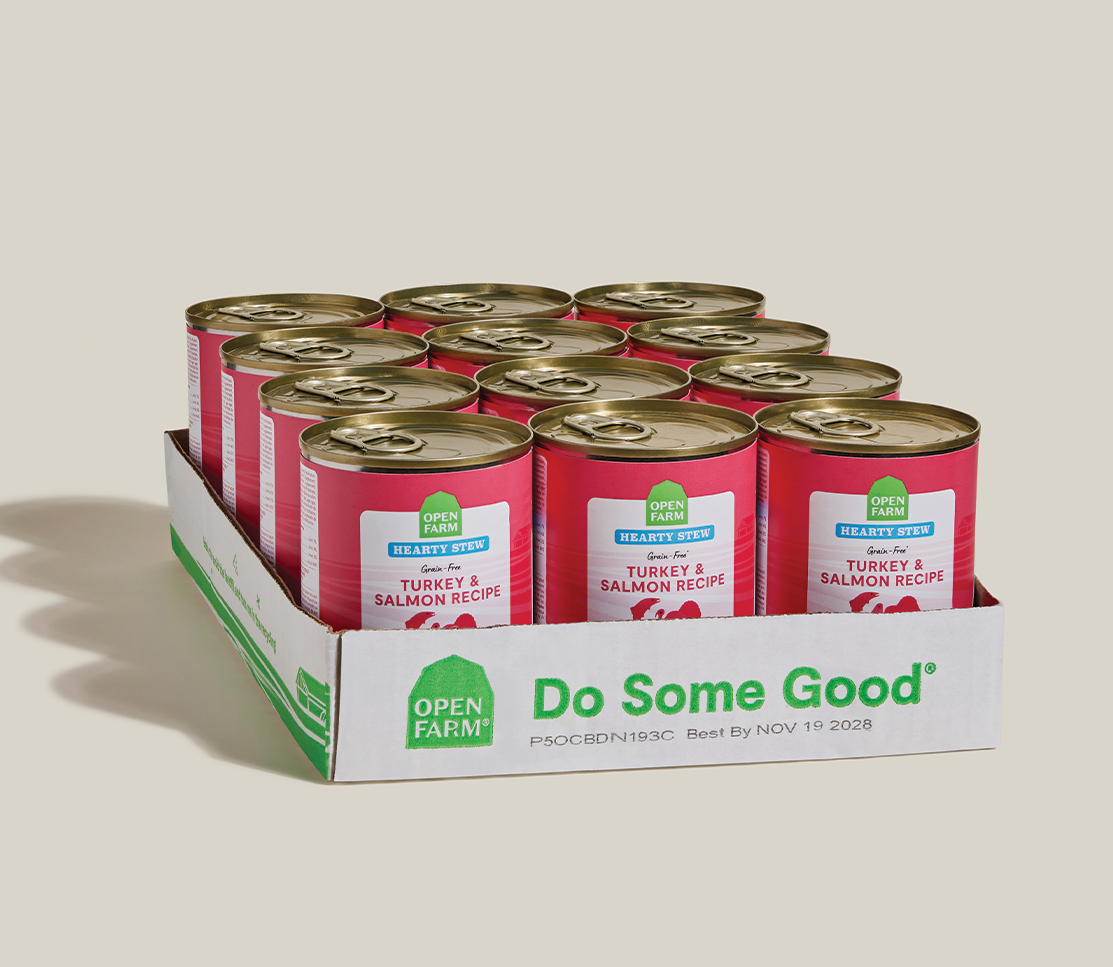 Turkey & Salmon Hearty Stew Wet Dog Food