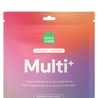Multi+ Supplement Chews for Dogs