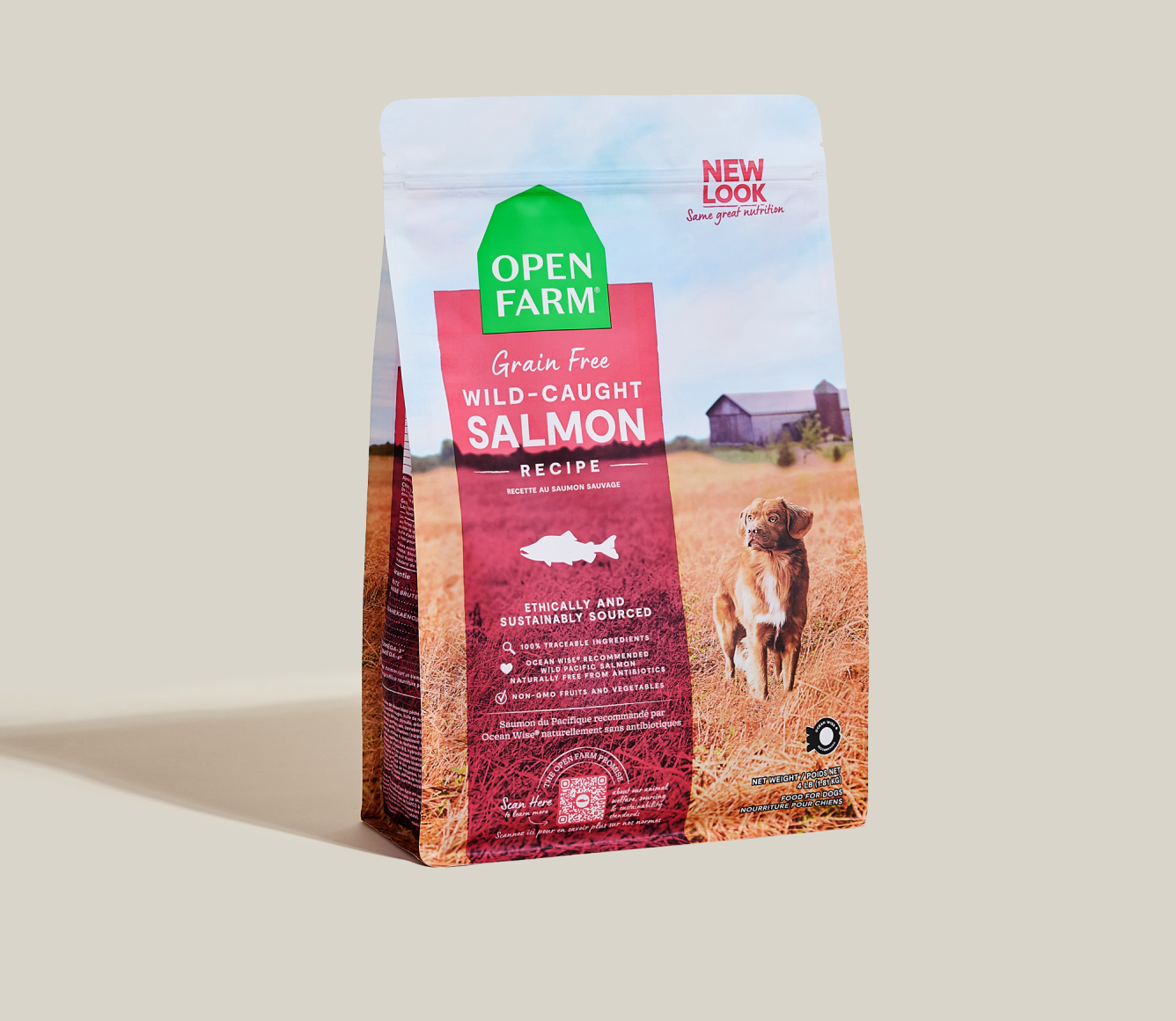 Beautiful view of Natural Ingredients In Grain Free Dog Kibble