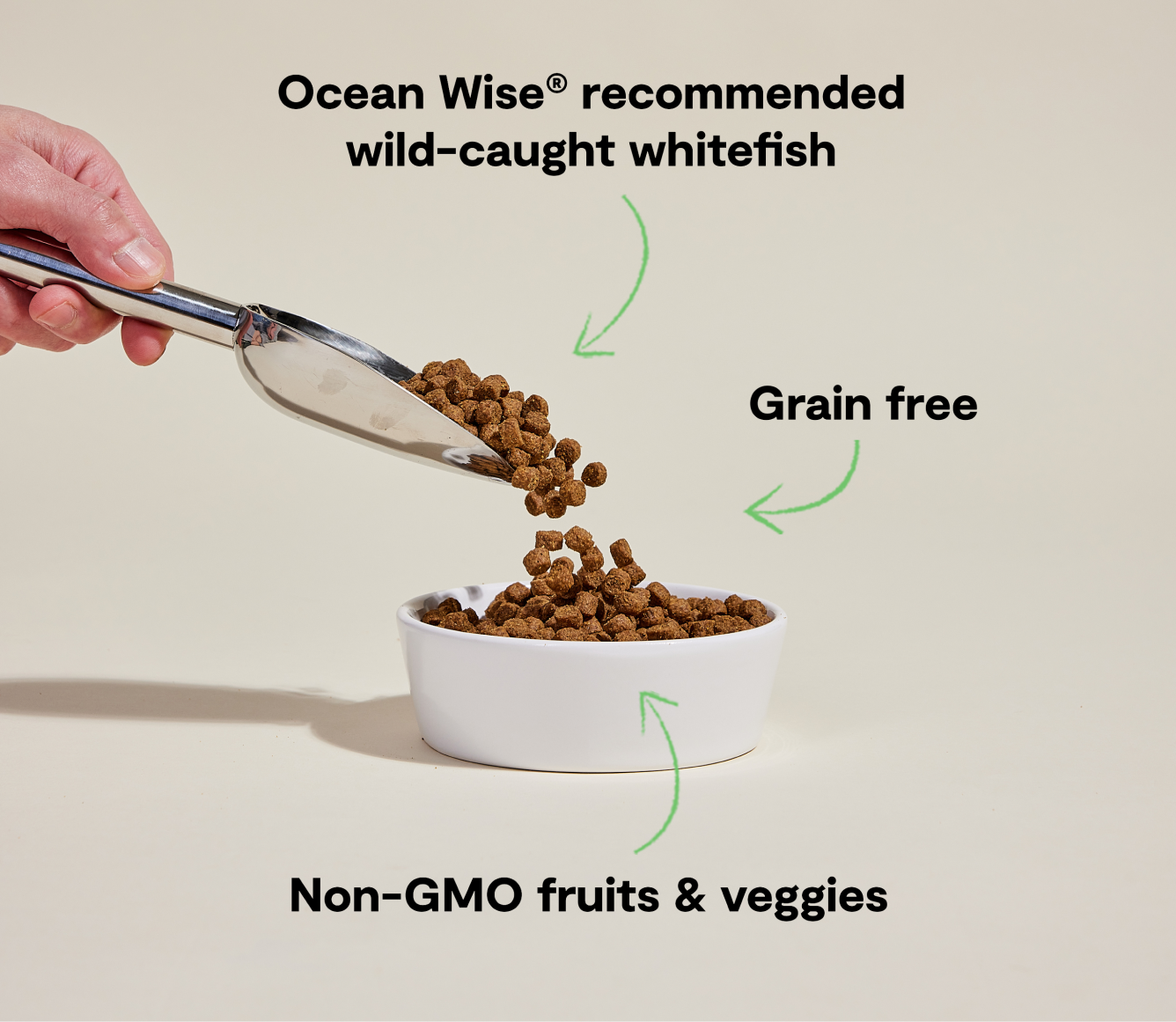 Whitefish Dog Kibble | Proudly Canadian Grain-Free Dog Food | Open Farm ...