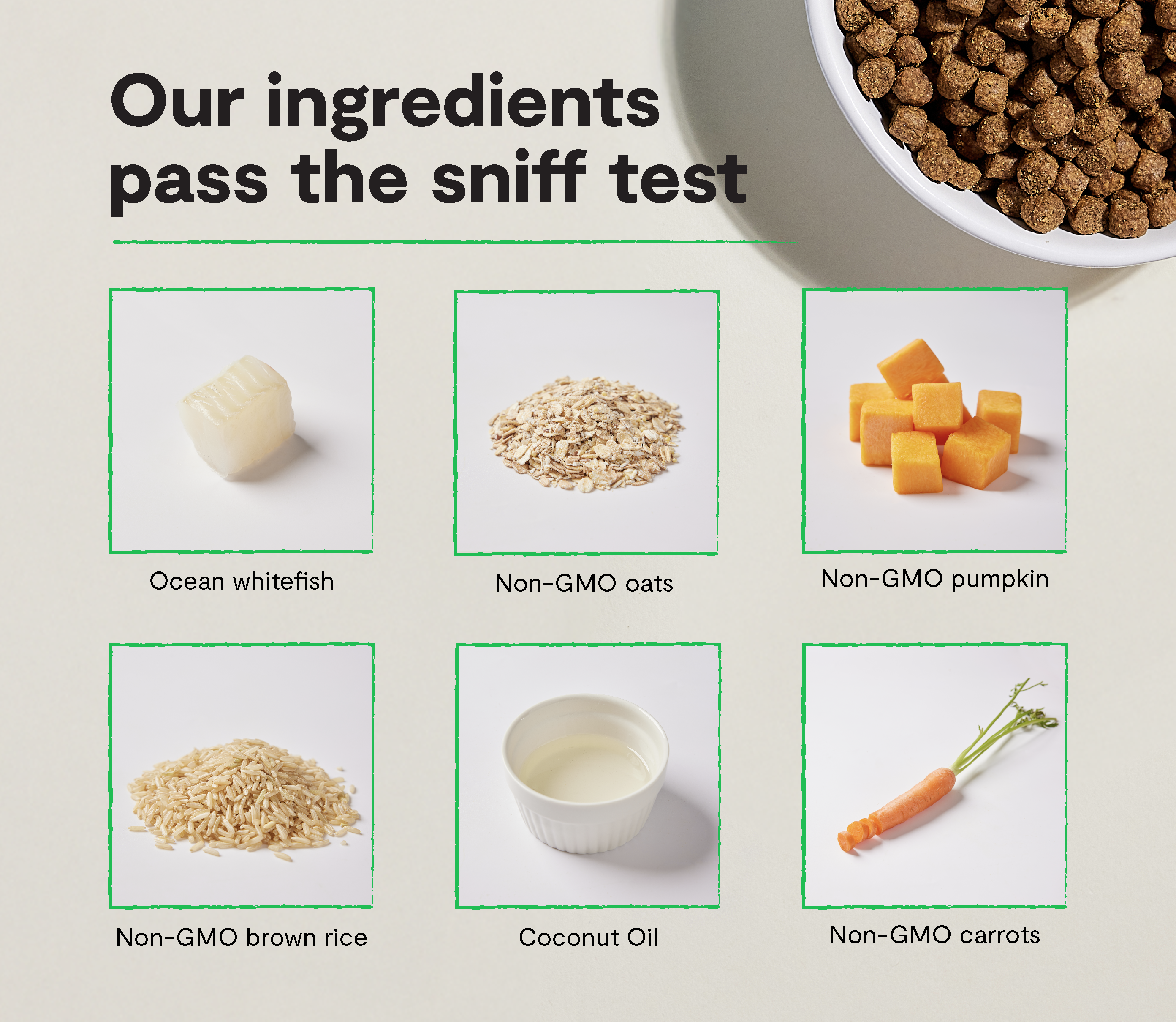 Whitefish & Ancient Grains Dog Kibble