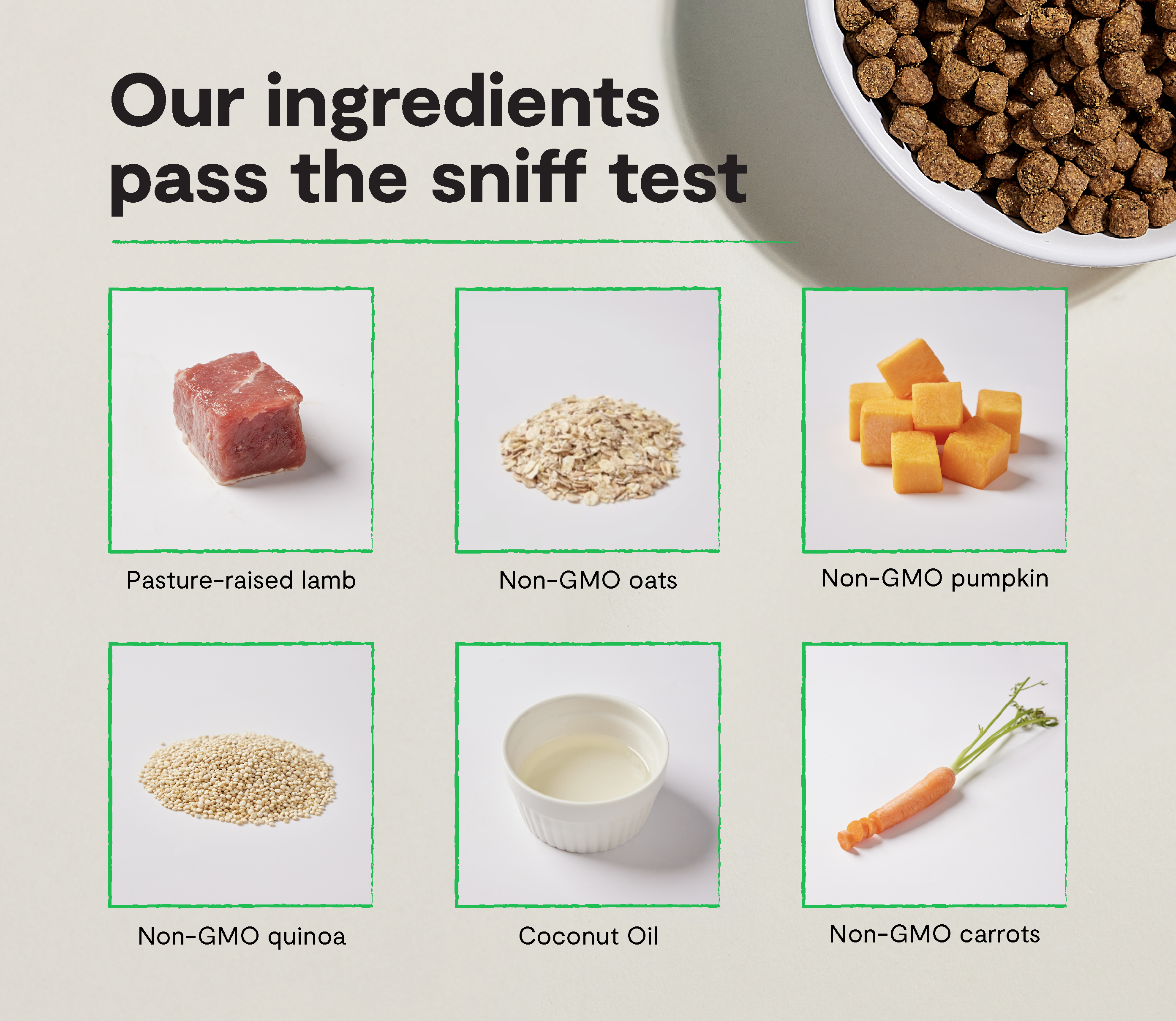 Pasture-Raised Lamb & Ancient Grains Dog Kibble