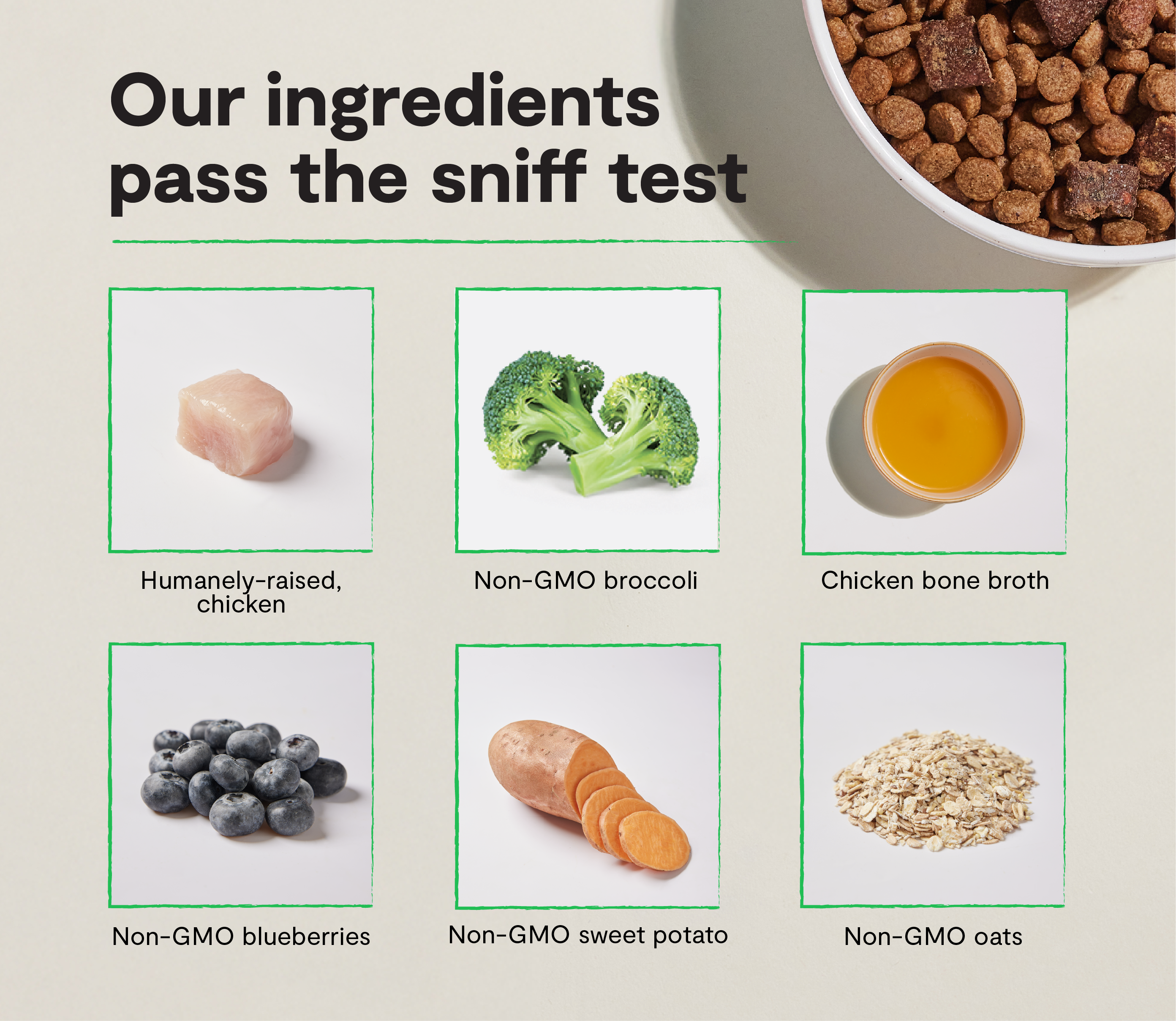 Epic Blend Chicken & Superfood Dry Dog Food