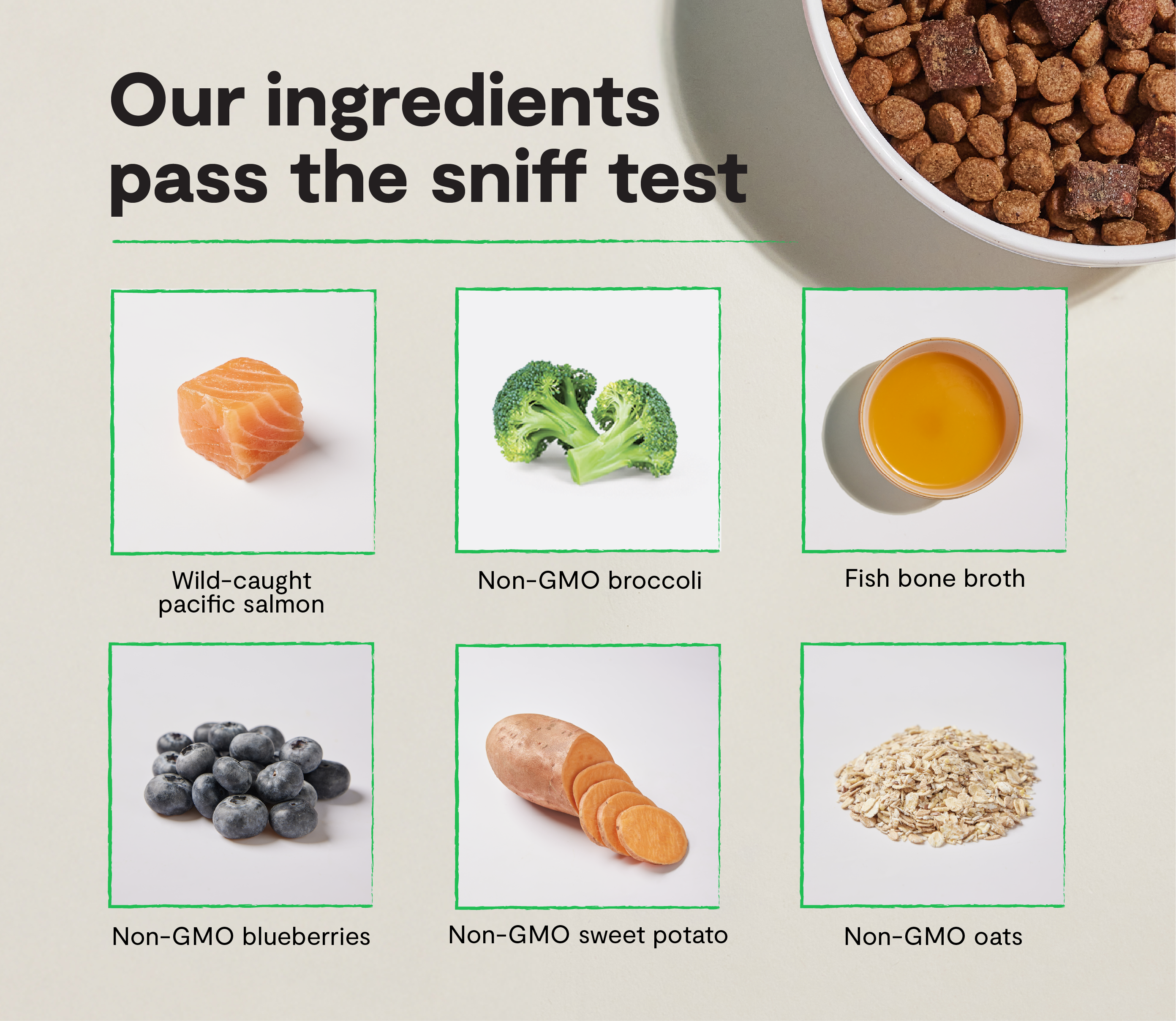 Epic Blend Salmon & Superfood Dry Dog Food