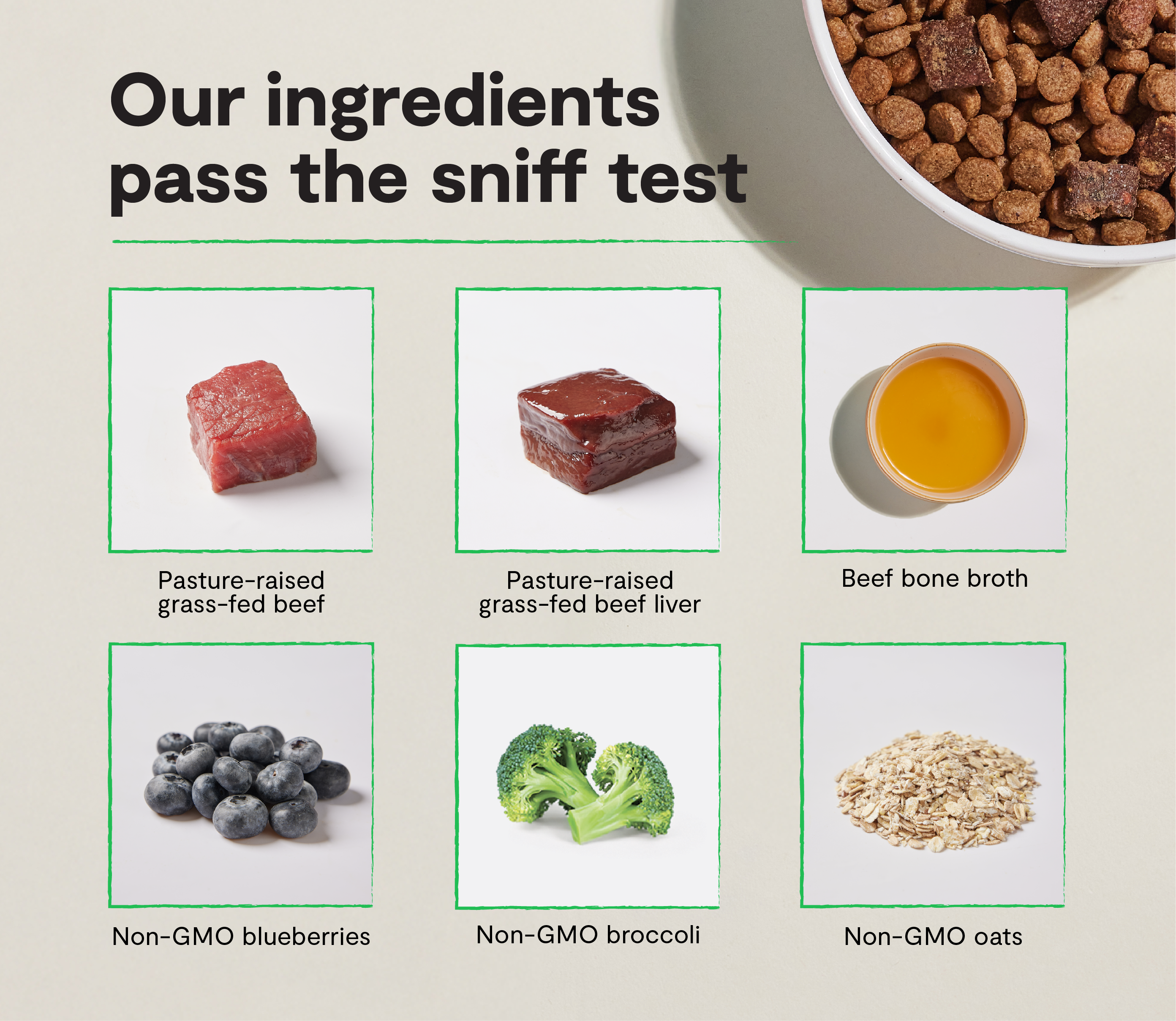 Epic Blend Beef & Superfood Dry Dog Food
