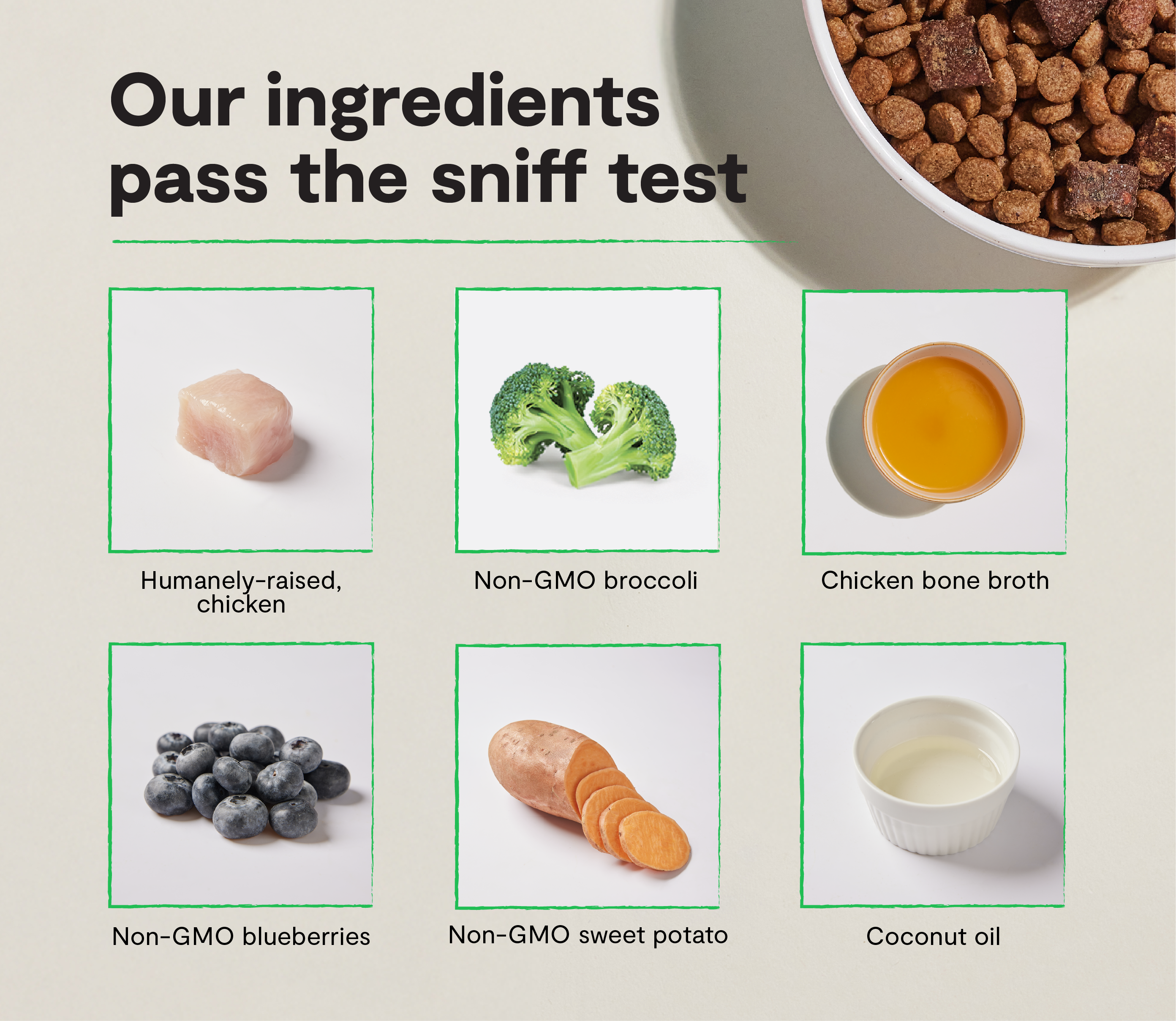 Epic Blend Chicken & Superfood Grain-Free Dog Kibble