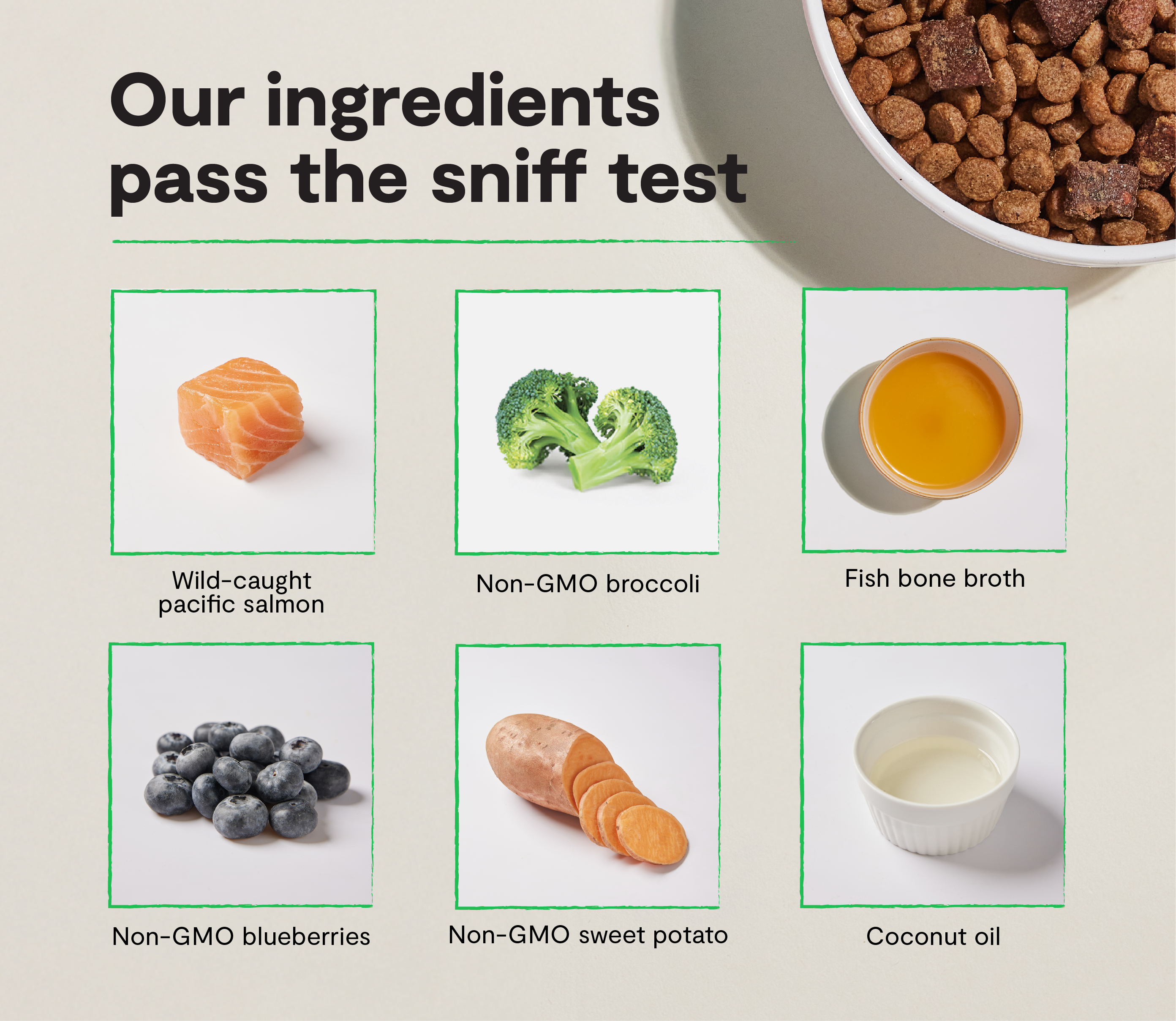 Epic Blend Salmon & Superfood Grain-Free Dog Kibble