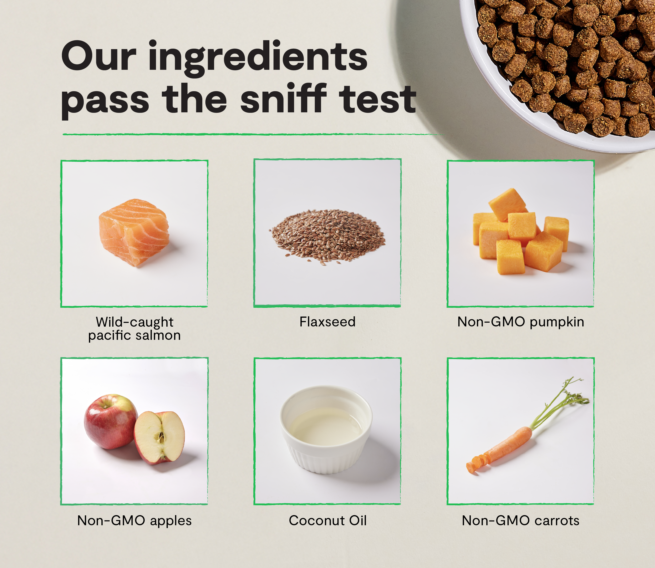 Nourriture sèche pour chiens sans grains au saumon sauvage