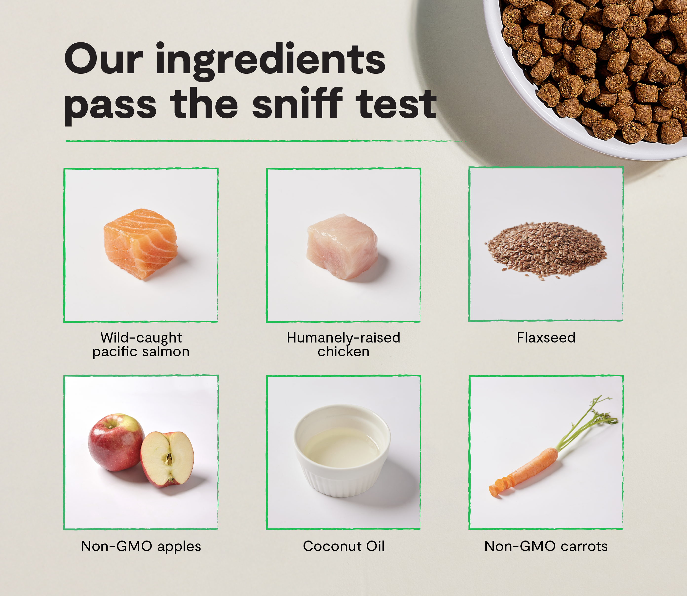 Nourriture sèche pour chiots sans grains