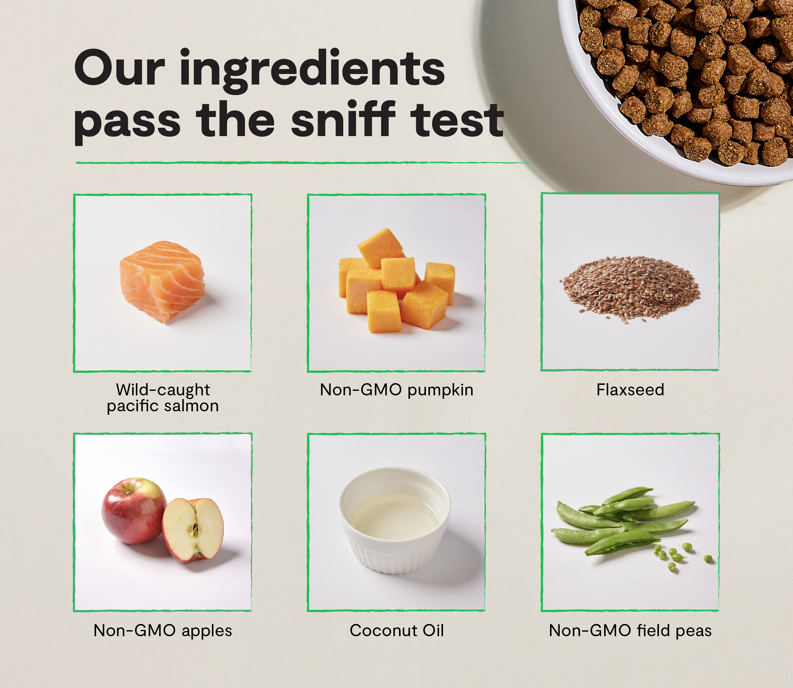 Salmon Grain-Free Puppy Kibble