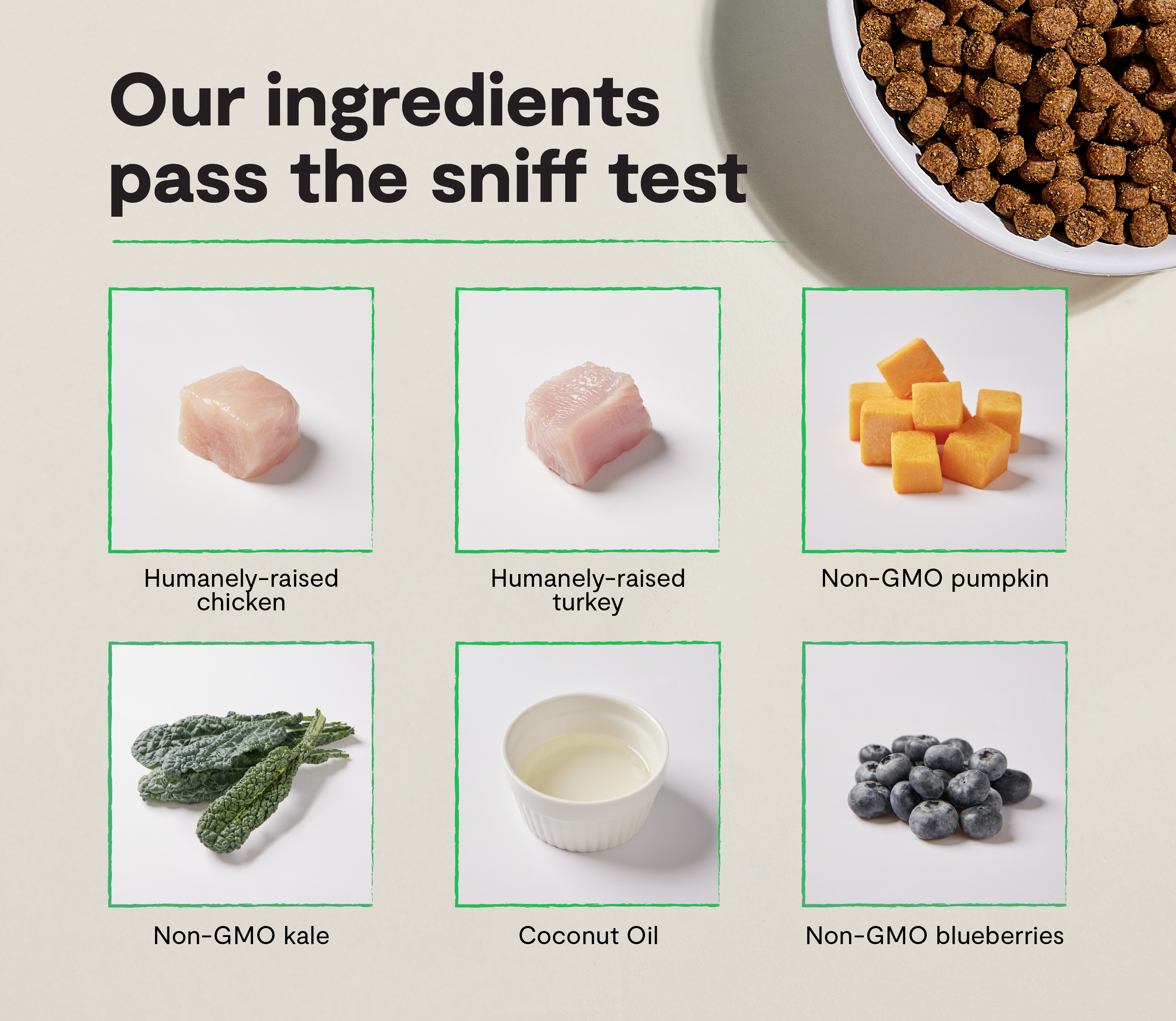 Nourriture sèche pour chiens de petite race sans grains