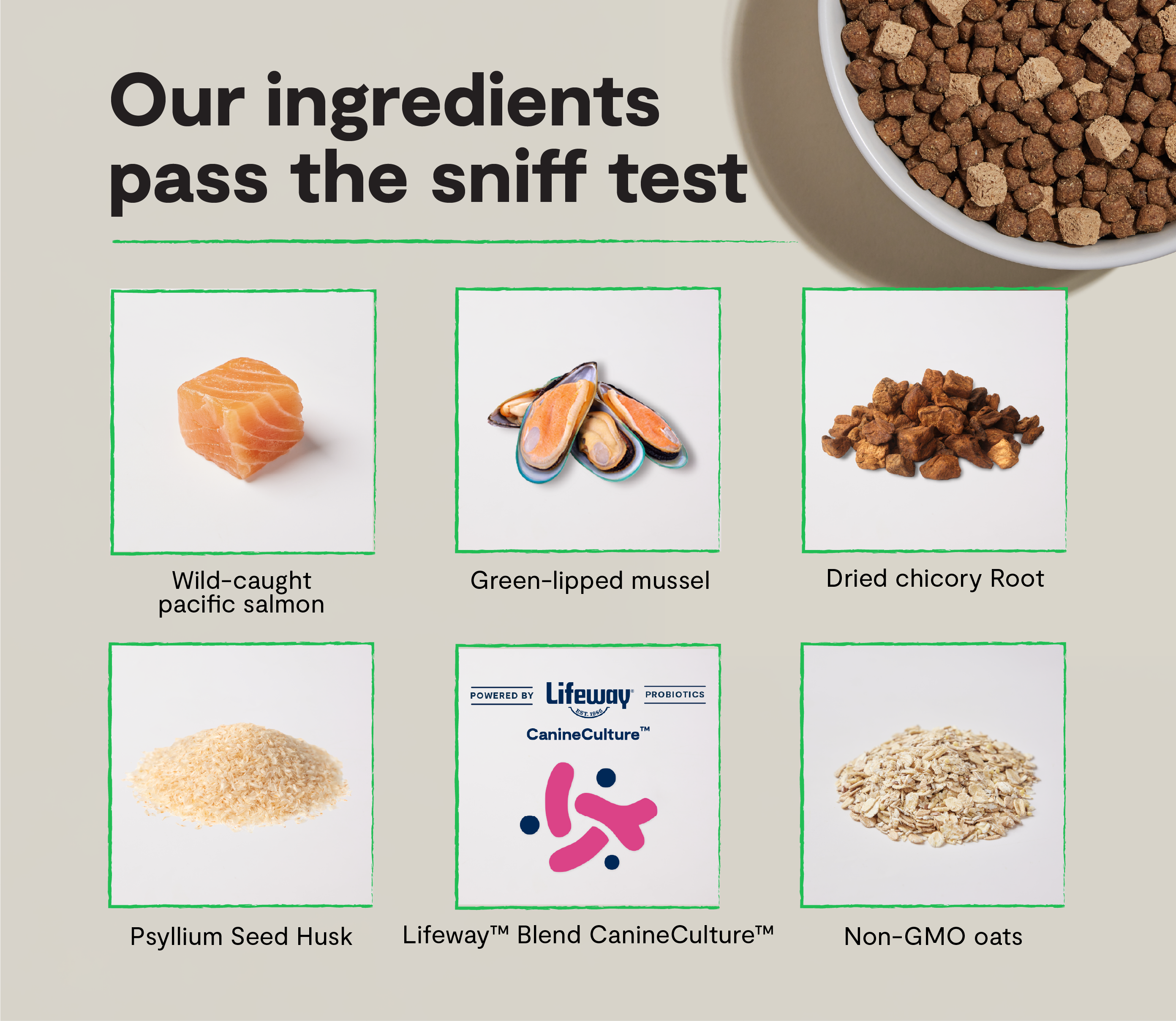 GoodGut Wild-Caught Salmon Dog Kibble