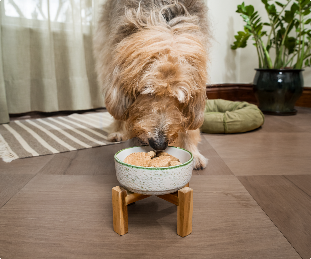 Surf Turf Freeze Dried Raw Patties for Dogs Proudly Canadian