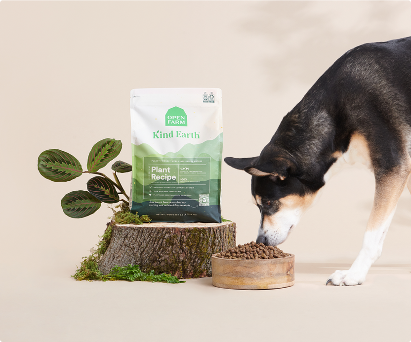 Kind Earth Plant-Based Dog Kibble | Proudly Canadian Ethically Sourced ...
