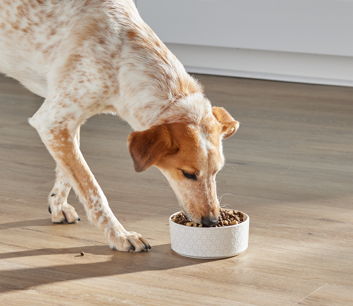 RawMix Great Plains Grain-Free Dog Kibble – Open Farm - Canada