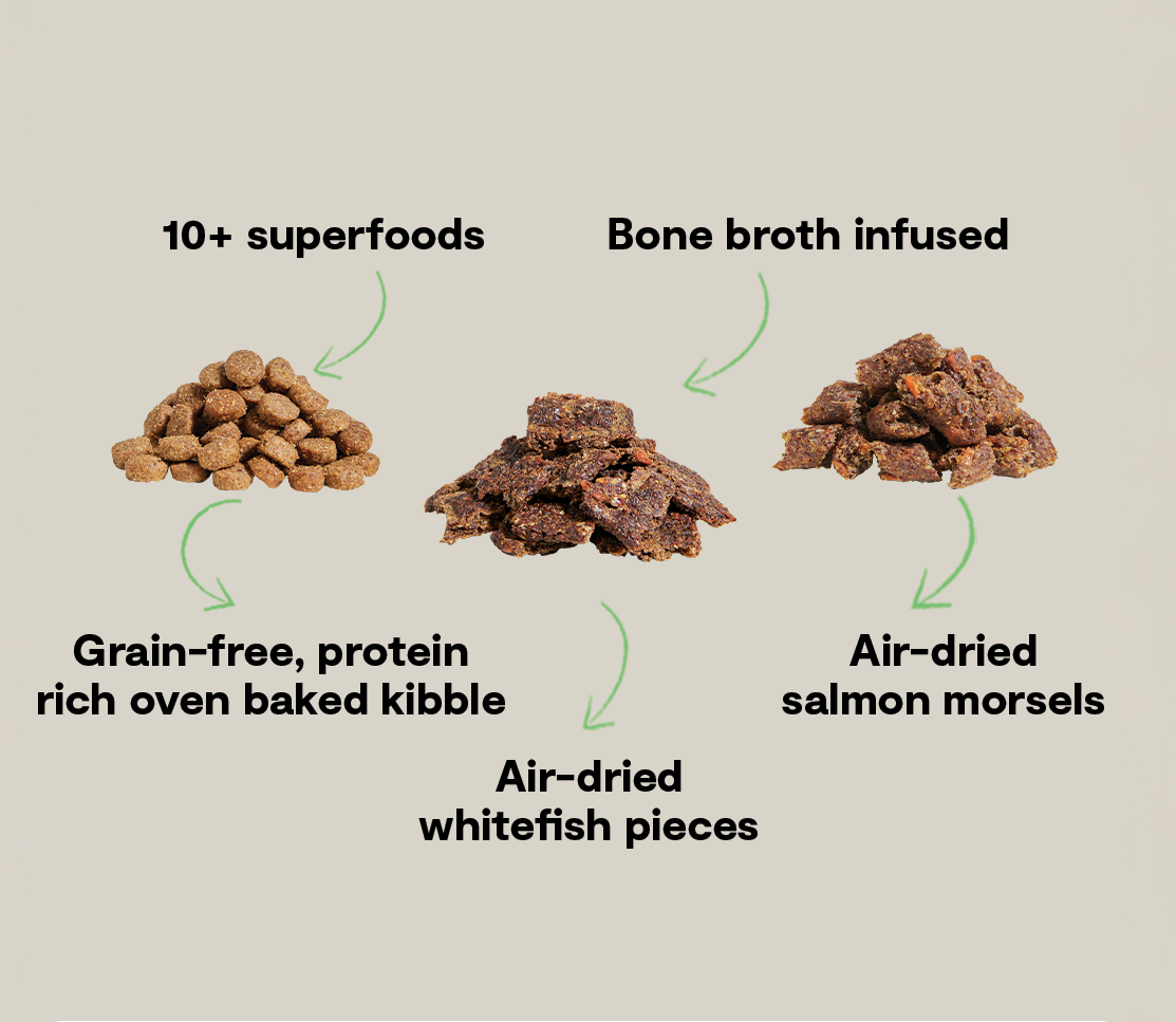 Epic Blend Salmon & Superfood Grain-Free Dog Kibble