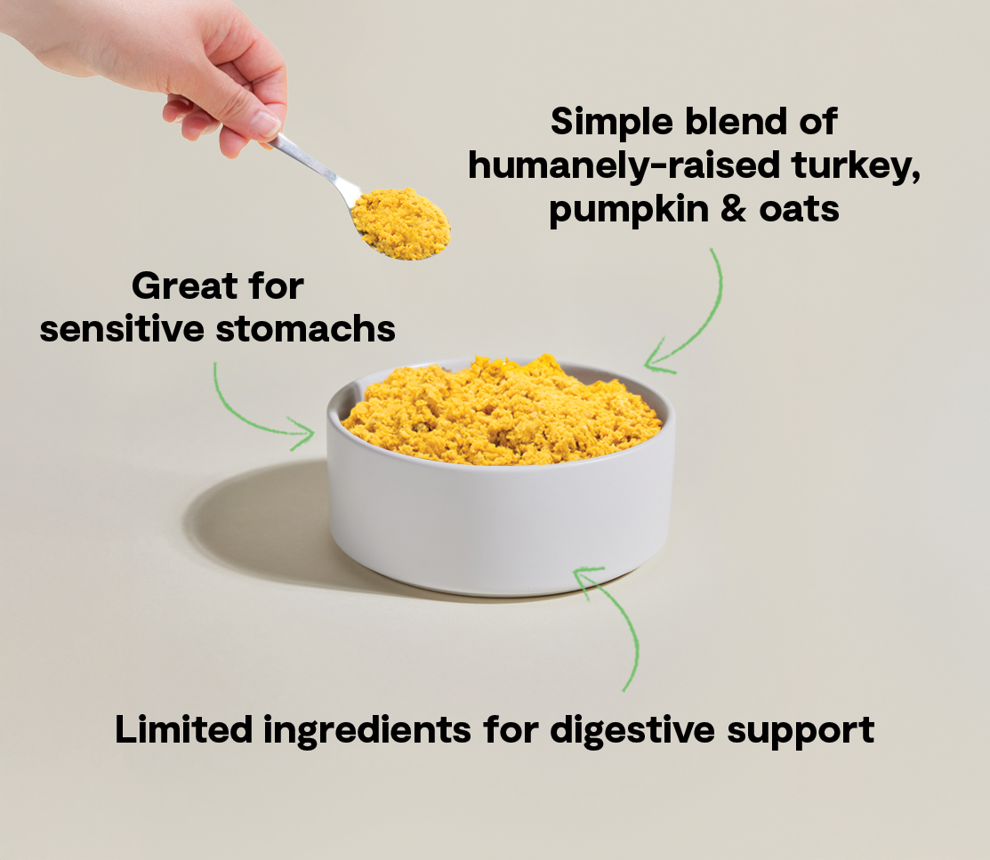 Dog Rescue Food Tummy Rescue Freshly Crafted Dog Food – Open Farm - Canada
