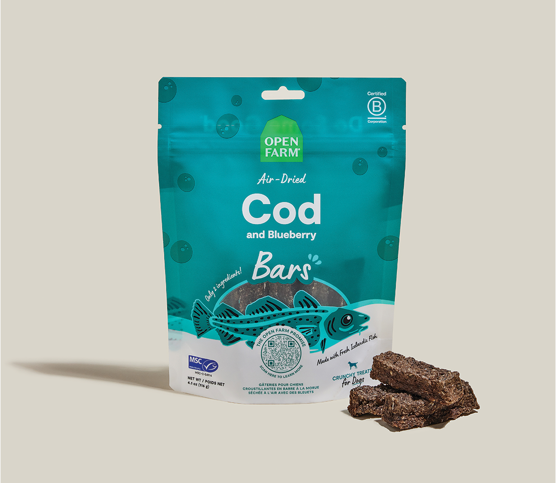Icelandic Air-Dried Cod & Blueberry Dog Treat Bars