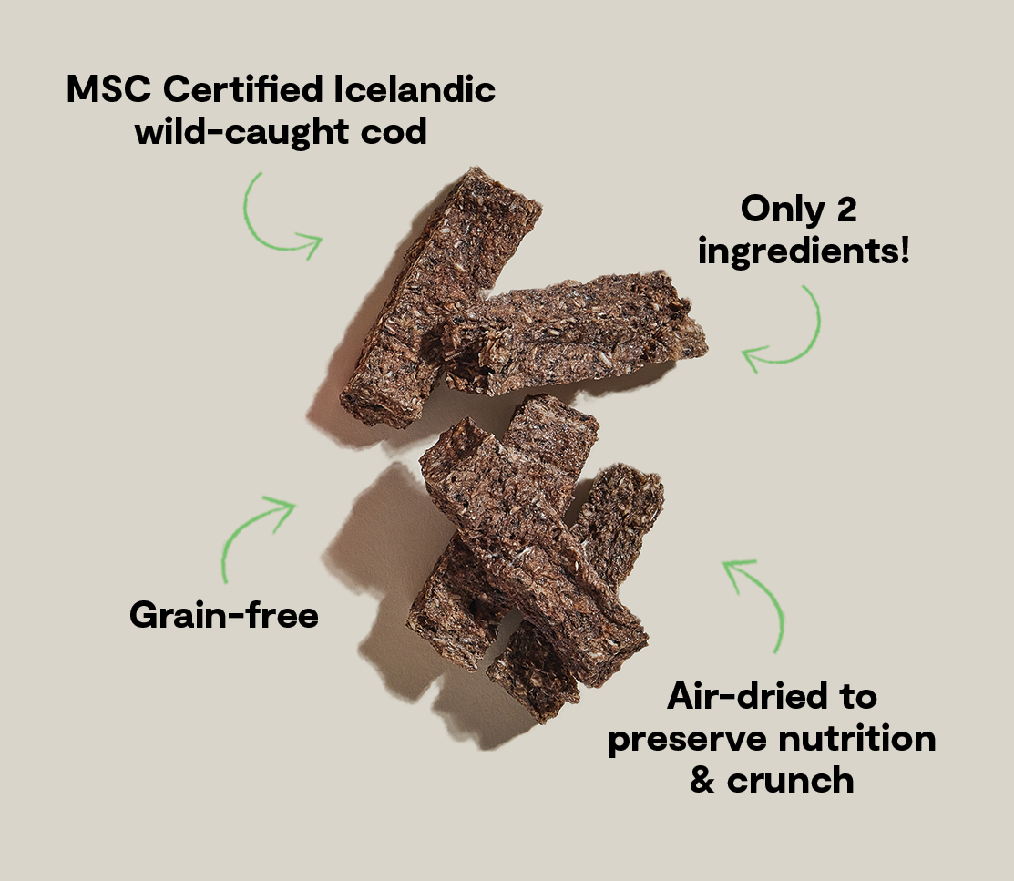Icelandic Air-Dried Cod & Blueberry Dog Treat Bars