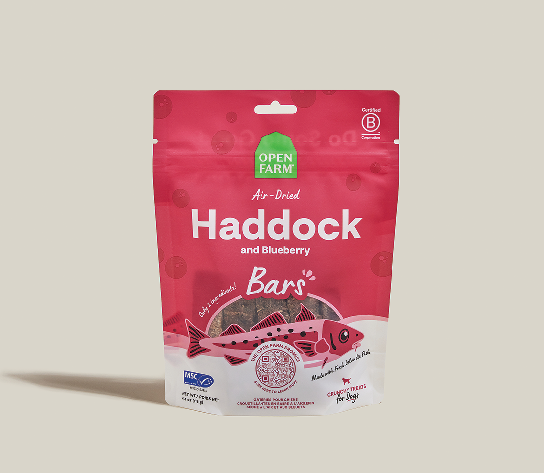 Icelandic Air-Dried Haddock & Blueberry Dog Treat Bars