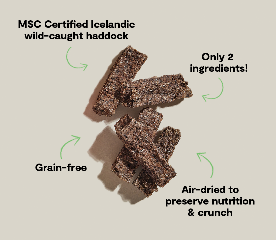 Icelandic Air-Dried Haddock & Blueberry Dog Treat Bars