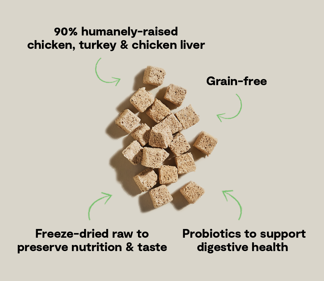 Chicken & Turkey Kitty Cube Treats