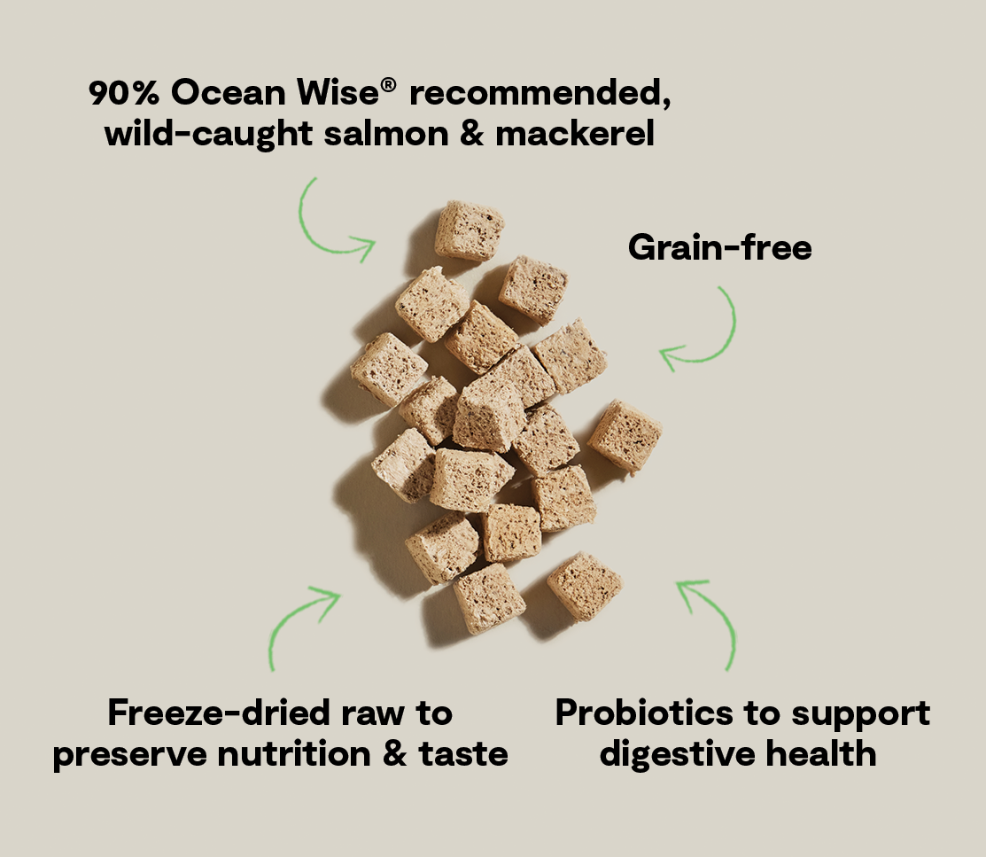 Salmon & Mackerel Kitty Cube Treats