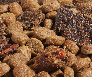 Epic Blend Salmon & Superfood Grain-Free Dog Kibble